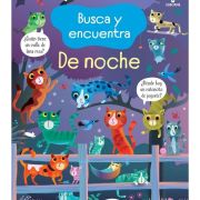 Busca y encuentra de noche