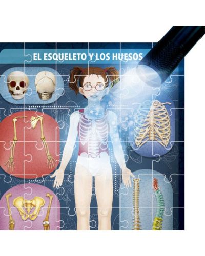 Juego el cuerpo humano rayos x